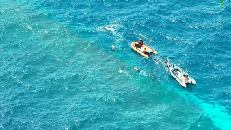 Maritime article image