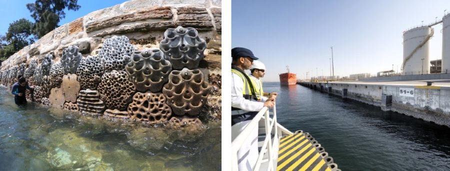 Maritime article image