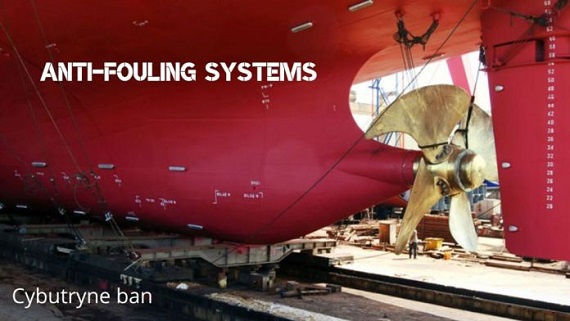 Maritime article image