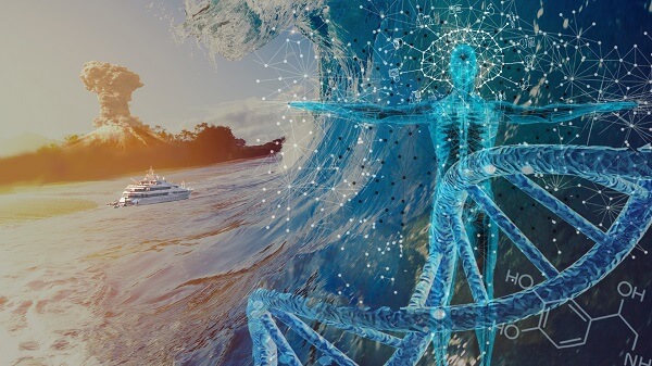 Maritime article image