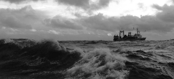 Maritime article image