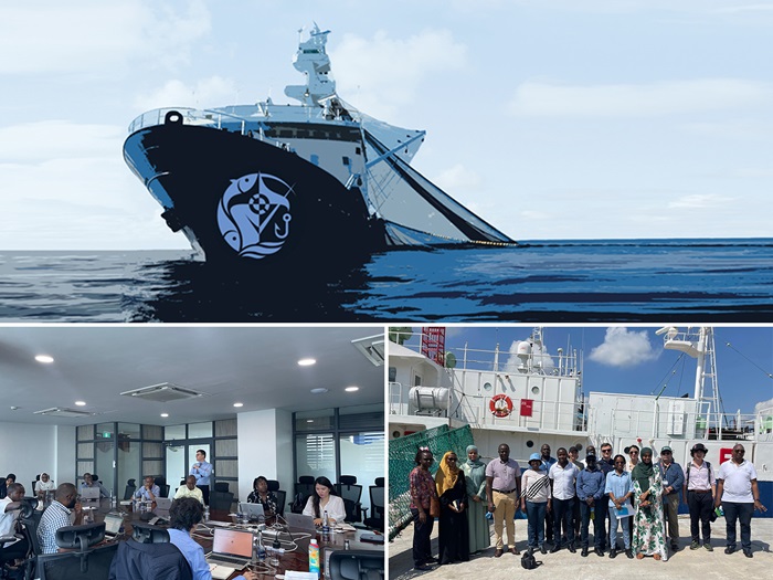 Maritime article image