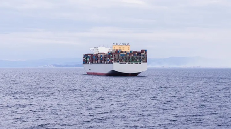 Cargo Ship in the Red Sea – Illustrative Image (iStock)