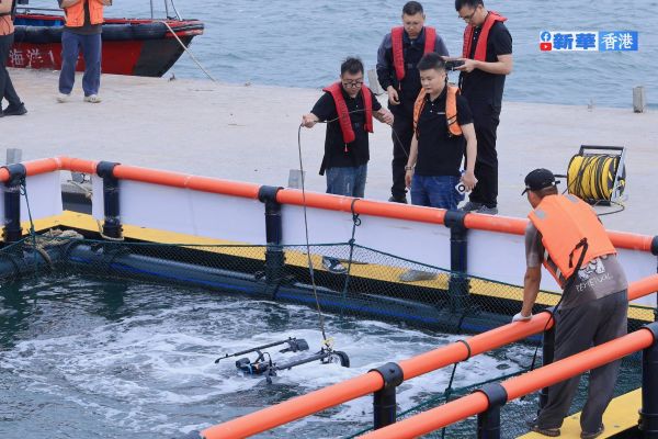 Maritime article image