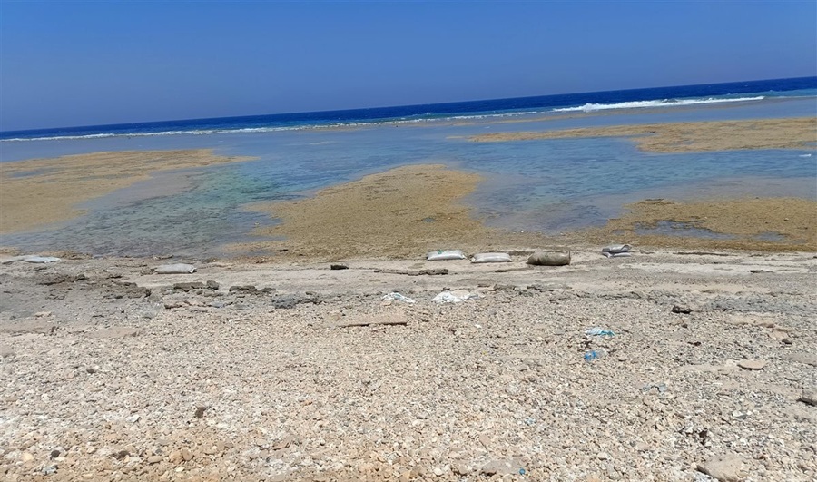 صورة مقال بحري