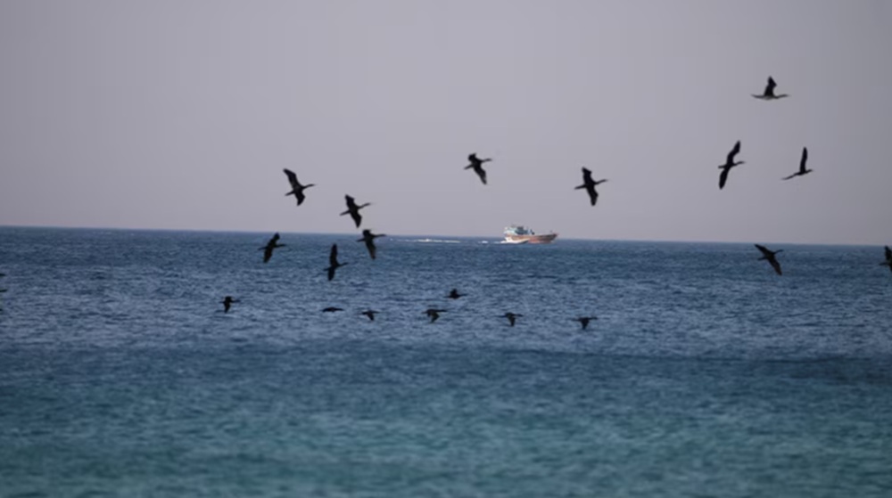 Maritime article image